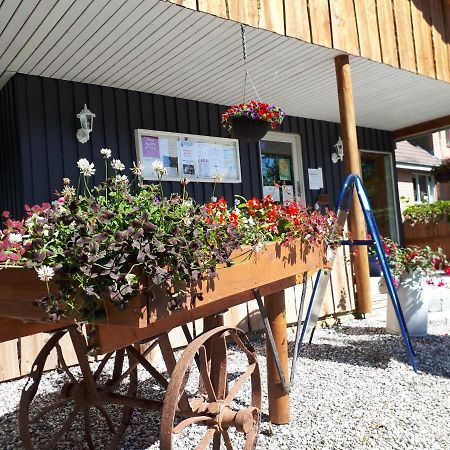 Bollingso Camping Engesvang エクステリア 写真