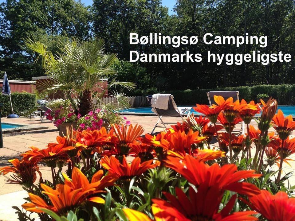 Bollingso Camping Engesvang エクステリア 写真